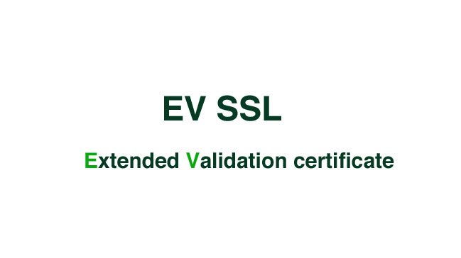 Certificato SSL e validazione del dominio: come muoversi
